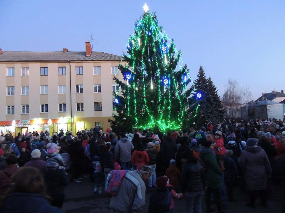 головна ялинка м.Броди