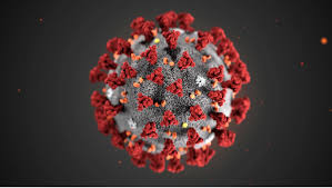 коронавірус